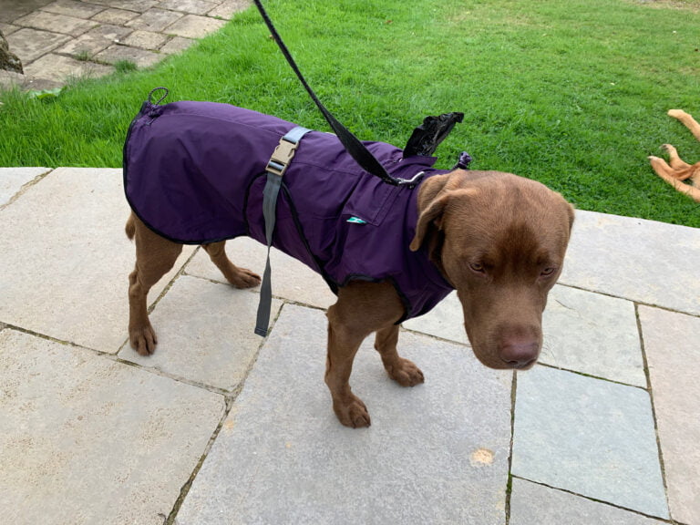 New Walks with Winnie Upcycled Dog Jackets